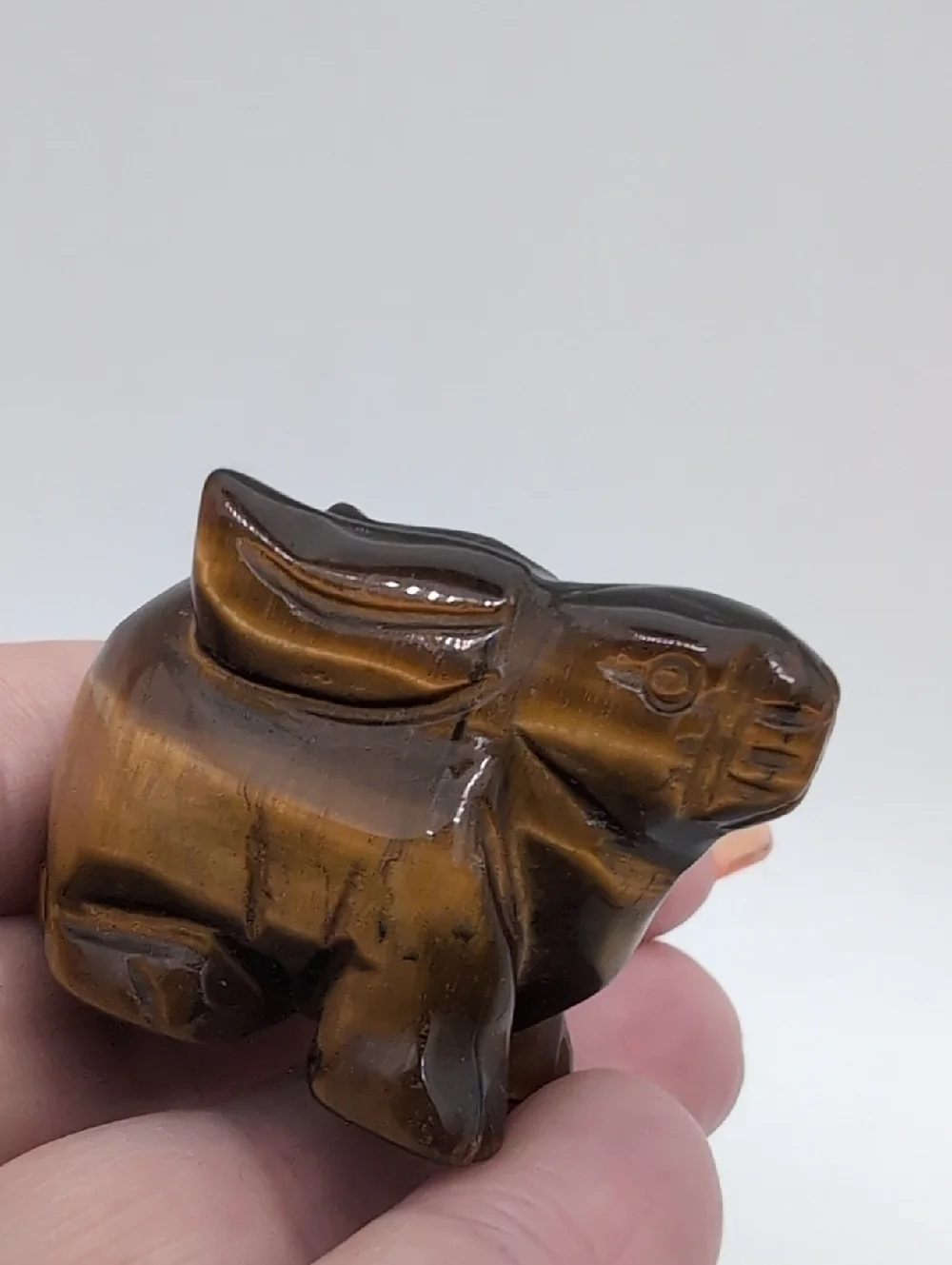 Tiger Eye Rabbit 🐇 - Picture 3 of 5